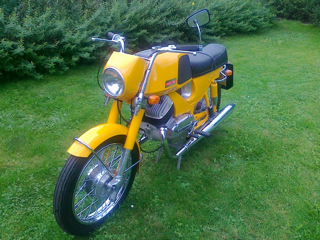 [1024.768]1318276651bizon_zahrada_004